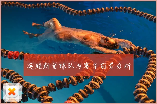 英超新晋球队与赛季前景分析